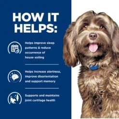 Hill's Prescription Diet Brain Care + J/d Mobility With Chicken Adult Dog Dry Food -KONG Shop HILL 052742075327 11