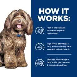 Hill's Prescription Diet Brain Care + J/d Mobility With Chicken Adult Dog Dry Food -KONG Shop HILL 052742075327 12