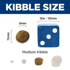 Hill's Prescription Diet Brain Care + J/d Mobility With Chicken Adult Dog Dry Food -KONG Shop HILL 052742075327 13