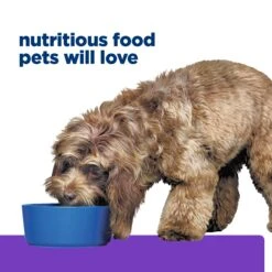 Hill's Prescription Diet Brain Care + J/d Mobility With Chicken Adult Dog Dry Food -KONG Shop HILL 052742075327 21