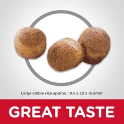 Hill's Science Diet Oral Care Dog Dry Food -KONG Shop HILL 052742113708 13