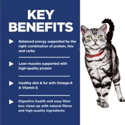 Hill's Science Diet Indoor Chicken Recipe Cat Dry Food 24 Hill's Science Diet Indoor Chicken Recipe Cat Dry Food -KONG Shop HILL 052742117003 11