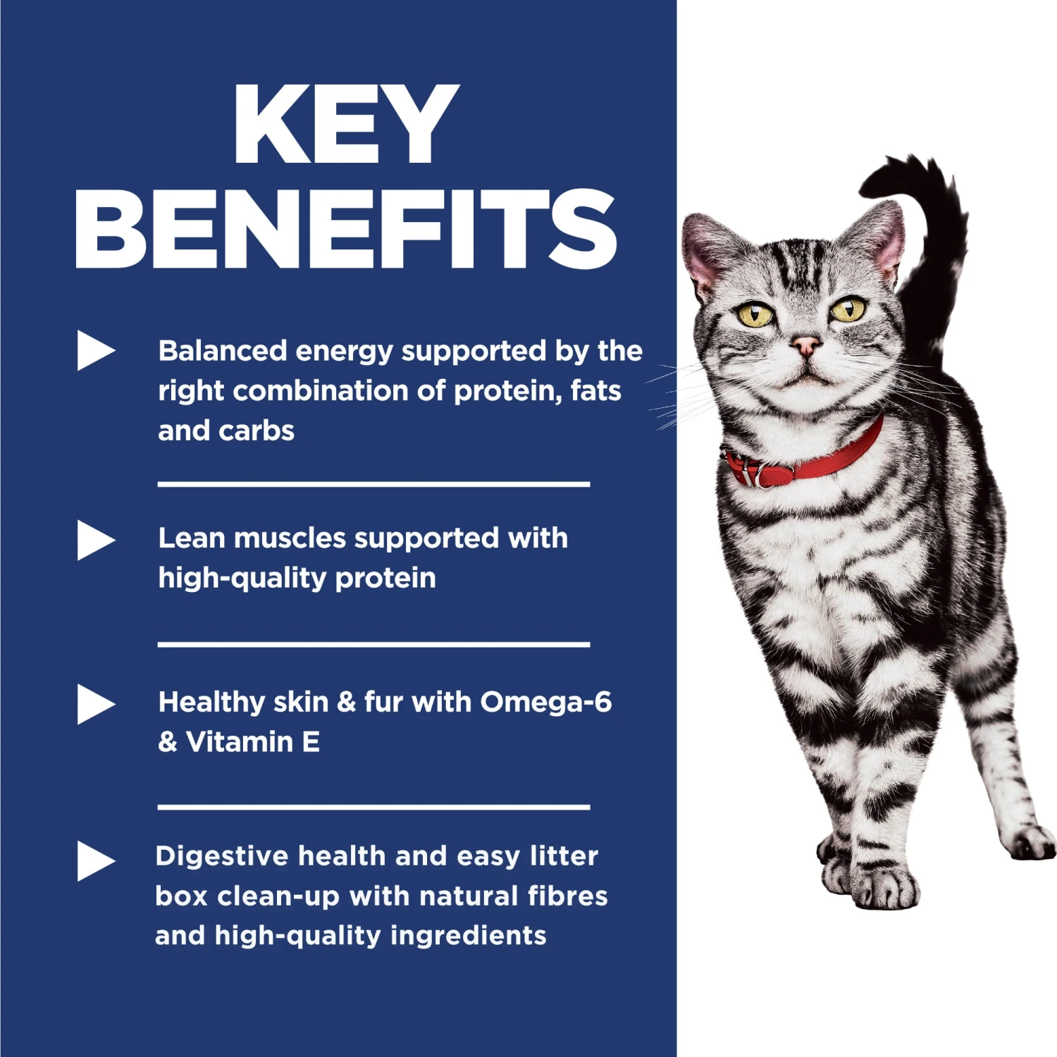 Hill's Science Diet Indoor Chicken Recipe Cat Dry Food 9 Hill's Science Diet Indoor Chicken Recipe Cat Dry Food - Image 7