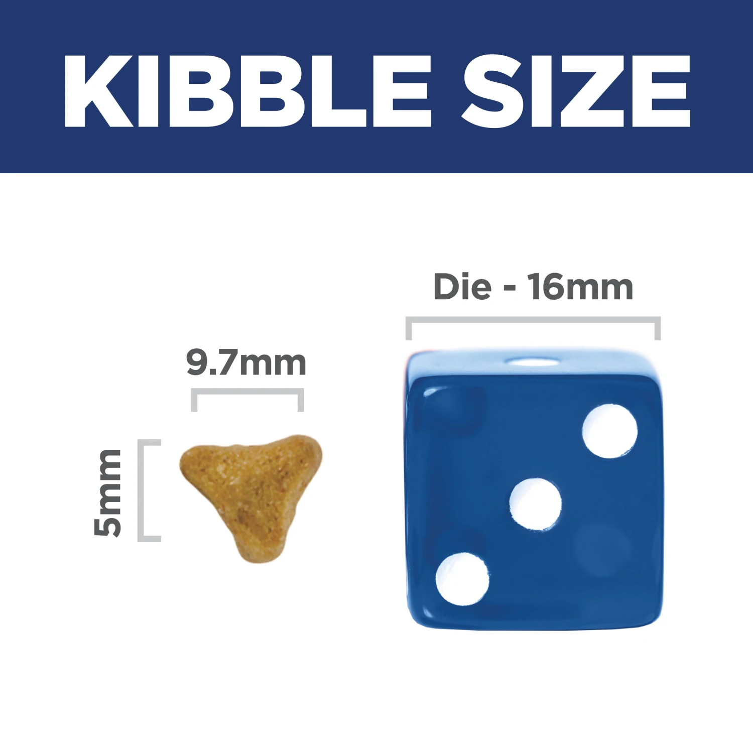 Hill's Science Diet Indoor Chicken Recipe Cat Dry Food 14 Hill's Science Diet Indoor Chicken Recipe Cat Dry Food - Image 12