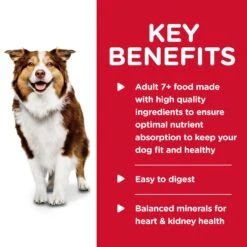 Hill's Science Diet Savoury Stew Beef & Vegetables Adult 7+ Dog Wet Food 363g Cans 17 Hill's Science Diet Savoury Stew Beef & Vegetables Adult 7+ Dog Wet Food 363g Cans -KONG Shop HILL 052742143408 13