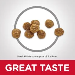 Hill's Science Diet Senior Cat 11+ Dry Food -KONG Shop HILL 052742146201 13