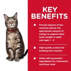 Hill's Science Diet Tender Chicken Dinner Adult Cat Wet Food 156g Cans -KONG Shop HILL 052742177007 13