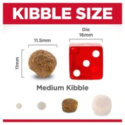 Hill's Science Diet Lamb Meal & Brown Rice Recipe Adult Dog Dry Food -KONG Shop HILL 052742203607 8