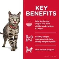 Hill's Science Diet Perfect Weight Chicken Recipe Adult Cat Dry Food -KONG Shop HILL 052742297002 12
