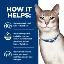 Hill's Prescription Diet K/d Kidney Care Salmon Adult Cat Wet Food 85g Pouches -KONG Shop HILL 052742341002 12