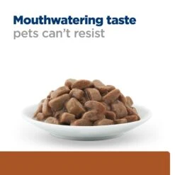 Hill's Prescription Diet K/d Kidney Care Salmon Adult Cat Wet Food 85g Pouches -KONG Shop HILL 052742341002 9
