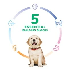 Hill's Science Diet Puppy Large Breed Dry Food -KONG Shop HILL 052742648101 12