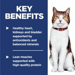 Hill's Science Diet Active Longevity Adult 7+ Cat Dry Food -KONG Shop HILL 052742649900 11