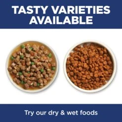 Hill's Science Diet Active Longevity Adult 7+ Cat Dry Food -KONG Shop HILL 052742649900 17