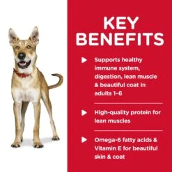 Hill's Science Diet Chicken & Barley Entree Adult Dog Wet Food 370g Cans -KONG Shop HILL 052742703701 13