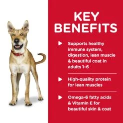 Hill's Science Diet Adult Beef & Barley Entree Adult Dog Wet Food 370g Cans -KONG Shop HILL 052742703909 13