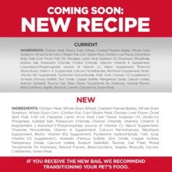 Hill's Science Diet Puppy Small Bites Dry Dog Food -KONG Shop HILL 052742713908 10