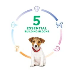 Hill's Science Diet Puppy Small Bites Dry Dog Food -KONG Shop HILL 052742713908 11