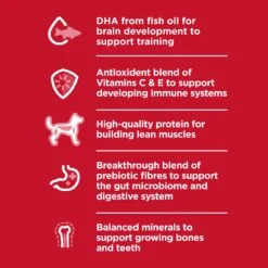 Hill's Science Diet Puppy Small Bites Dry Dog Food -KONG Shop HILL 052742713908 12