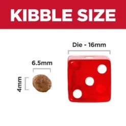 Hill's Science Diet Puppy Small Bites Dry Dog Food -KONG Shop HILL 052742713908 17