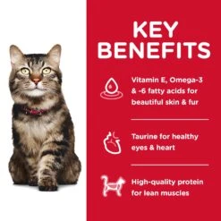 Hill's Science Diet Hairball Control Mature 7+ Cat Dry Food -KONG Shop HILL 052742887708 12