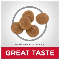 Hill's Science Diet Sensitive Stomach & Skin Cat Dry Food -KONG Shop HILL 052742887807 9