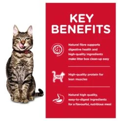 Hill's Science Diet Indoor Adult 7+ Cat Dry Food -KONG Shop HILL 052742888002 7