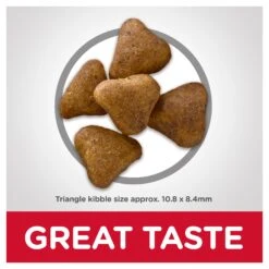 Hill's Science Diet Indoor Adult 7+ Cat Dry Food -KONG Shop HILL 052742888002 8