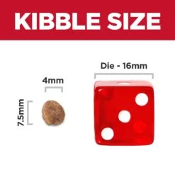 Hill's Science Diet Small & Mini Chicken & Brown Rice Recipe Adult Dog Dry Food -KONG Shop HILL 052742909707 12 66e78848 8836 4099 b10b f4c64f657f7c