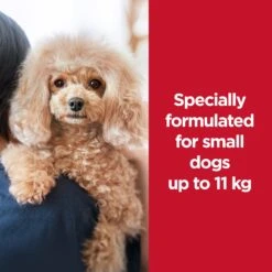 Hill's Science Diet Small Paws Chicken & Rice Recipe Adult Dog Dry Food -KONG Shop HILL 052742909707 17