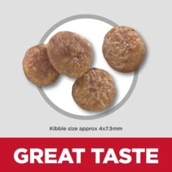 Hill's Science Diet Small Paws Adult 7+ Dry Dog Food -KONG Shop HILL 052742909905 16