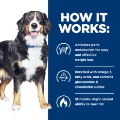 Hill's Prescription Diet Metabolic Weight + J/d Mobility Care Adult Dog Dry Food -KONG Shop HILL 52742000718NEW 7