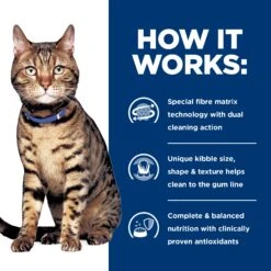 Hill's Prescription Diet Feline T/d Dental Care Cat Dry Food -KONG Shop HILL 52742005768NEW 5