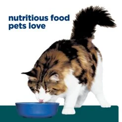 Hill's Prescription Diet Feline W/d Multi-Benefit Dry Cat Food -KONG Shop HILL 52742005829NEW 13