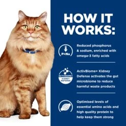 Hill's Prescription Diet K/d + Mobility Adult Cat Dry Food -KONG Shop HILL 52742013695NEW 10