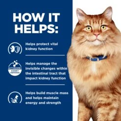 Hill's Prescription Diet K/d + Mobility Adult Cat Dry Food -KONG Shop HILL 52742013695NEW 11