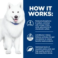 Hill's Prescription Diet K/d Kidney + J/d Mobility Adult Dog Dry Food -KONG Shop HILL 52742013817NEW 10