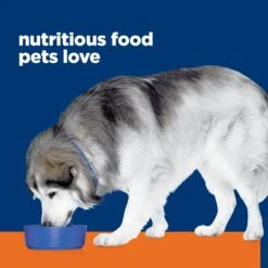 Hill's Prescription Diet C/d Multicare Urinary + Metabolic Weight Adult Dog Dry Food -KONG Shop HILL 52742020709NEW 15