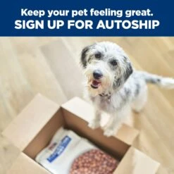 Hill's Prescription Diet C/d Multicare Urinary + Metabolic Weight Adult Dog Dry Food -KONG Shop HILL 52742020709NEW 20