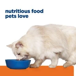 Hill's Prescription Diet C/d Multicare Urinary Stress Adult Cat Dry Food -KONG Shop HILL 52742022185NEW 17