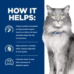 Hill's Prescription Diet Gastrointestinal Biome Stress Digestive/Fibre Care Dry Cat Food -KONG Shop HILL 52742024554NEW 10
