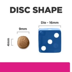 Hill's Prescription Diet Gastrointestinal Biome Stress Digestive/Fibre Care Dry Cat Food -KONG Shop HILL 52742024554NEW 12