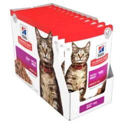 Hill's Science Diet Beef Adult Cat Wet Food 85g Pouches -KONG Shop HILL 52742028828 7