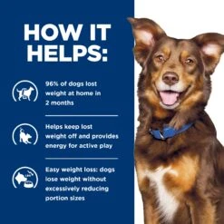 Hill's Prescription Diet Metabolic Adult Dog Wet Food 370g Cans -KONG Shop HILL 52742053059 11
