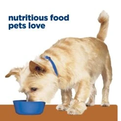Hill's Prescription Diet K/d Kidney Care Adult Dog Wet Food 350g Cans -KONG Shop HILL 52742053158 18 fd74edb6 d4f5 48da baf1 80d4ce9a2336