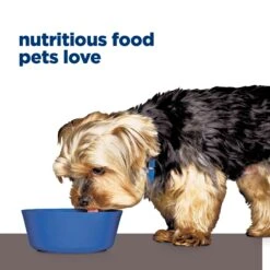 Hill's Prescription Diet L/d Liver Care Adult Dog Wet Food 370g Cans -KONG Shop HILL 52742053189 19 aa320165 6859 448a b013 cc9c6cdda2c9