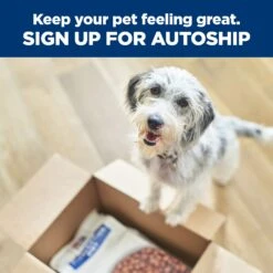 Hill's Prescription Diet L/d Liver Care Adult Dog Wet Food 370g Cans -KONG Shop HILL 52742053189 20 f918f384 b56a 4e08 9d13 e4d0b02c47e3