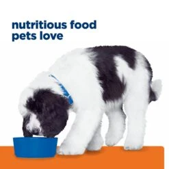 Hill's Prescription Diet C/d Multicare Urinary Care Adult Dog Wet Food 370g -KONG Shop HILL 52742056937 20