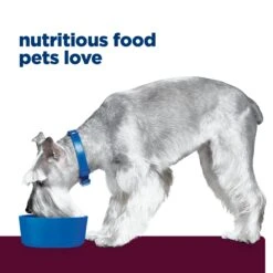 Hill's Prescription Diet I/d Low Fat Digestive Care Adult Dog Wet Food 360g Cans -KONG Shop HILL 52742056944 21