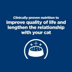 Hill's Prescription Diet K/d Kidney Care Chicken Adult Cat Wet Food 85g Pouches -KONG Shop HILL 52742118710 8